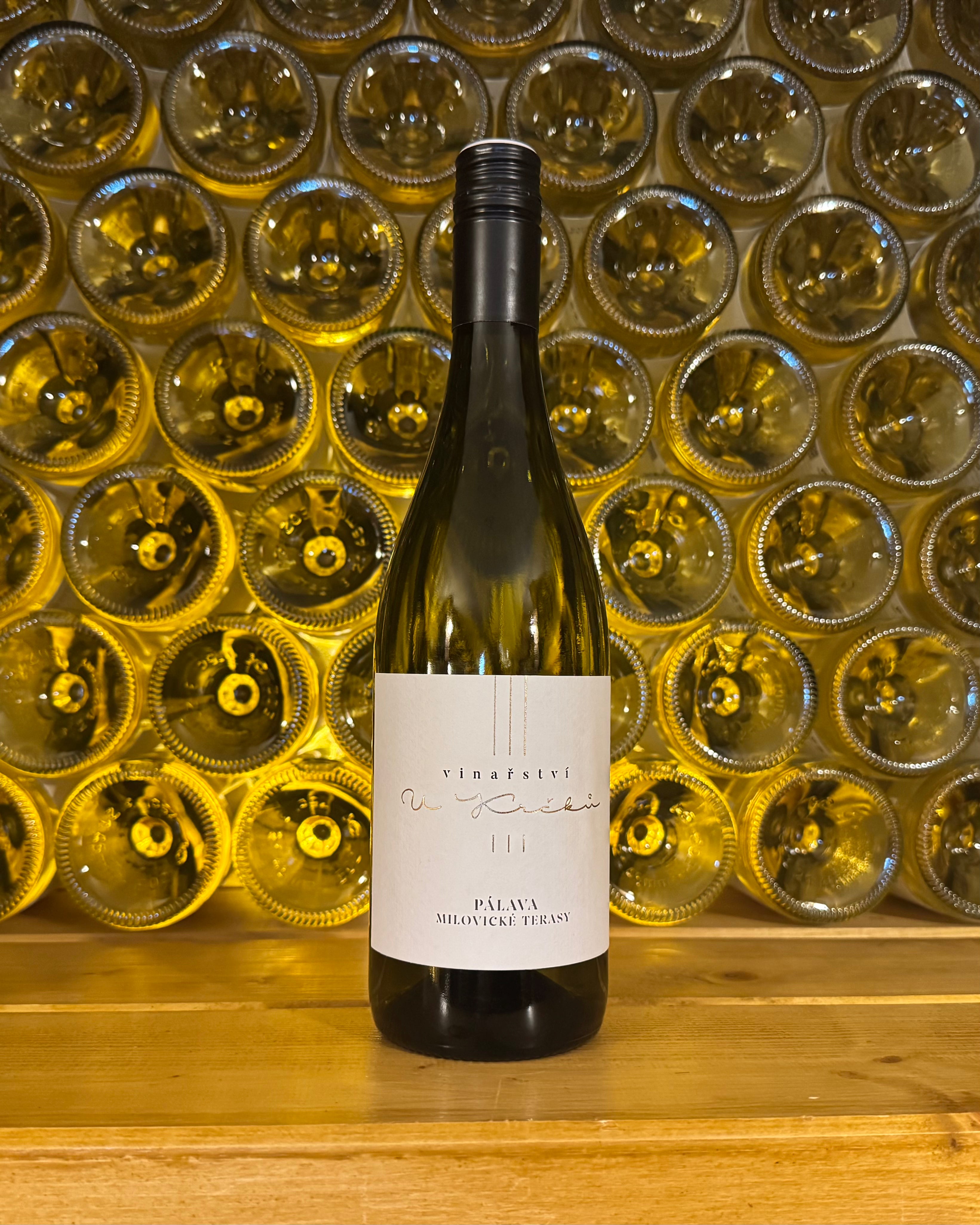 PÁLAVA MILOVICKÉ TERASY